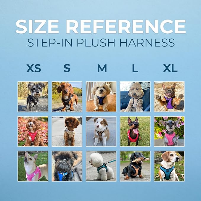 Best Pet Supplies - All Weather Plush, Reflective, No Pull Harness for Small, Medium Dogs, Cats - Secure with Hook & Loop Fastener, Buckle, Double D-Rings - Turquoise Plush, XL