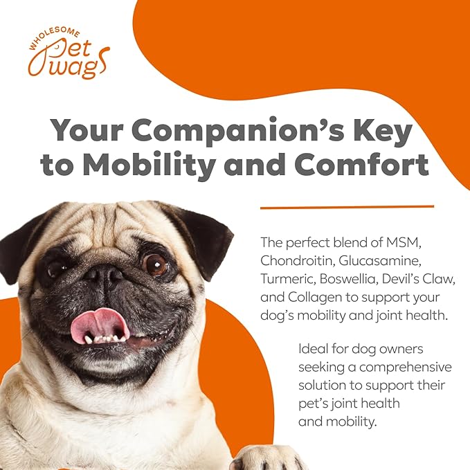 Dog Hip & Joint Supplement Soft Chews – Advanced Mobility & Comfort Support – Glucosamine, Chondroitin, MSM, Turmeric, Boswellia, Collagen – 60 Count