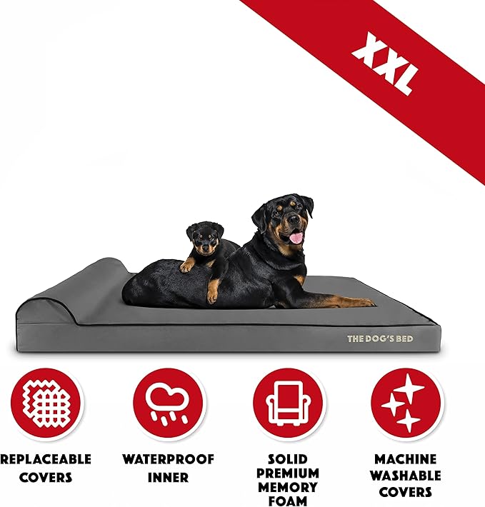The Dog’s Bed Orthopedic Memory Foam Dog Bed with Headrest, Calming Surface – CertiPUR-Certified Foam, Oxford Fabric, Grey with Black Trim, XXL, 4-Inch