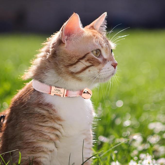 Personalized Non-Breakaway Cat Collar with Name, Luxury Soft Velvet Custom Engraved Name Collar with Bell for Kittens & Cats (Chambray, S (6.5-10.5 inches))