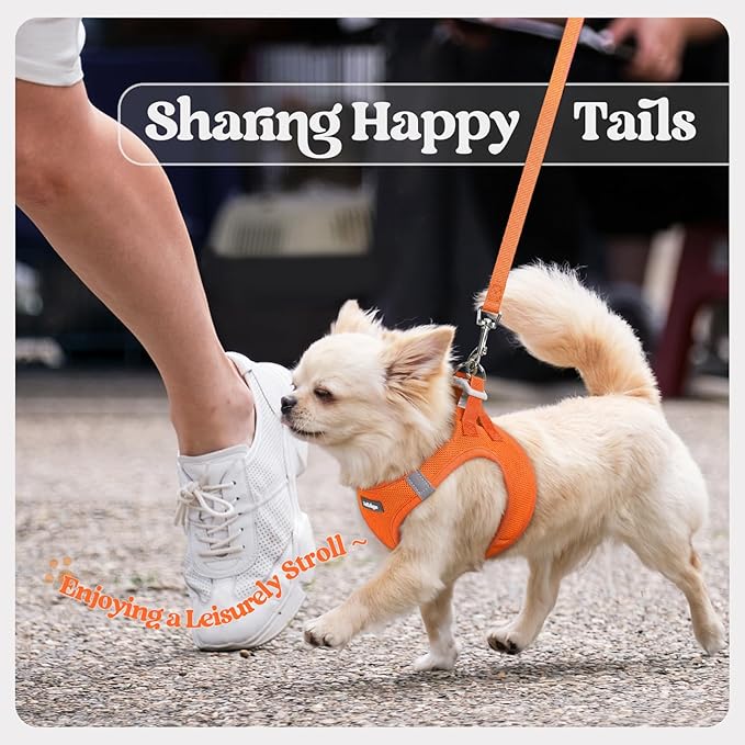 rabbitgoo Dog Harness Small Sized and Leash Set, Step in Soft Light Puppy Vest, Breathable Mesh Pet Harness, Reflective for Safe Easy Walking, Orange XXS