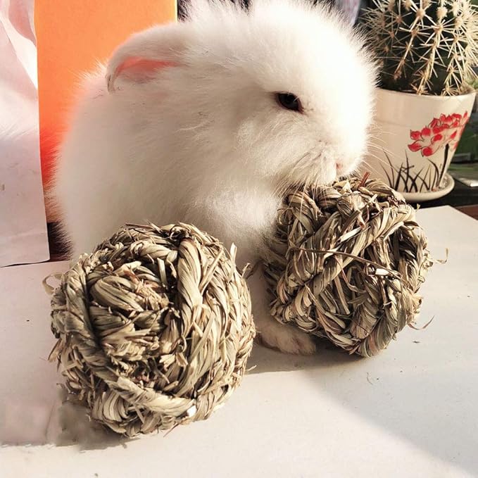 Hamiledyi Rabbit Chew Ball Timothy Grass Grinding Small Animal Activity Play Chew Toys for Bunny Rabbits Hamster Guinea Pigs Gerbils