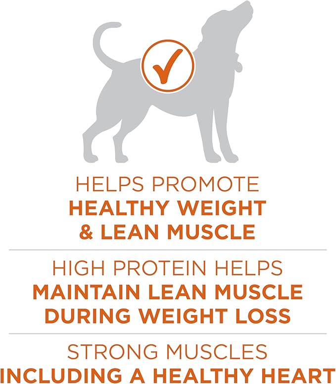 Purina One +Plus Dry Dog Food High Protein Healthy Weight, Real Turkey - 40 lb Bag