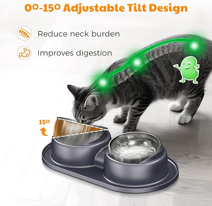 Elevated Cat Bowls Set of 2 Stainless Steel Bowl, Small Dog Food and Water Feeder with Non Spill Skid Resistant Mat,Tilted Dog Food Bowls Elevated Anti Vomiting, Ant Proof Cat Food Bowls