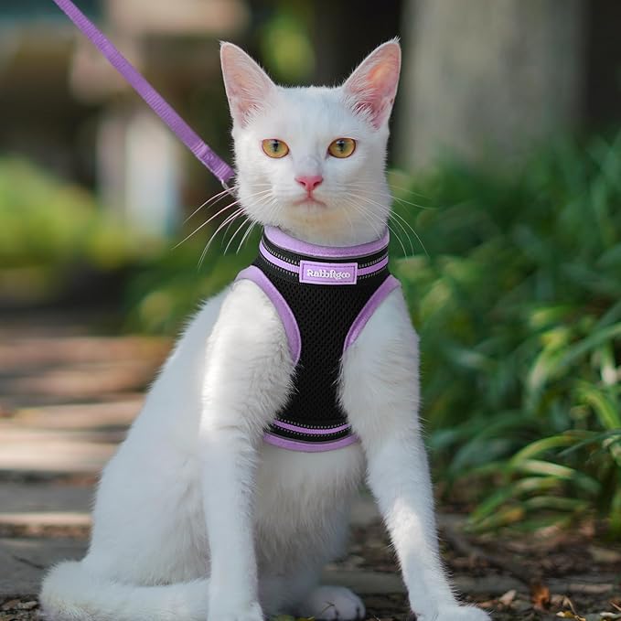rabbitgoo Cat Harness and Leash Set for Walking Escape Proof, Adjustable Soft Kittens Vest with Reflective Strip for Cats, Comfortable Outdoor Vest, Black & Light Purple, M