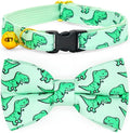 Cat Bow Collar, Green Dinosaur Pattern, Quick Release Safety Buckle, (8" - 13")