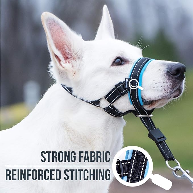 GoodBoy Dog Head Halter with Safety Strap - Stops Heavy Pulling On The Leash - Padded Headcollar for Small Medium and Large Dog Sizes - Head Collar Training Guide Included (Size 3, Blue)