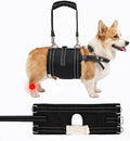 CWV Adjustable Male Dog Lift Harness for Large Dogs, Soft and Portable Dog Dling for Large Dogs Hind Leg Support, Help em up Harness for Senior, Injured, Disabled and After Surgery Dogs, Small
