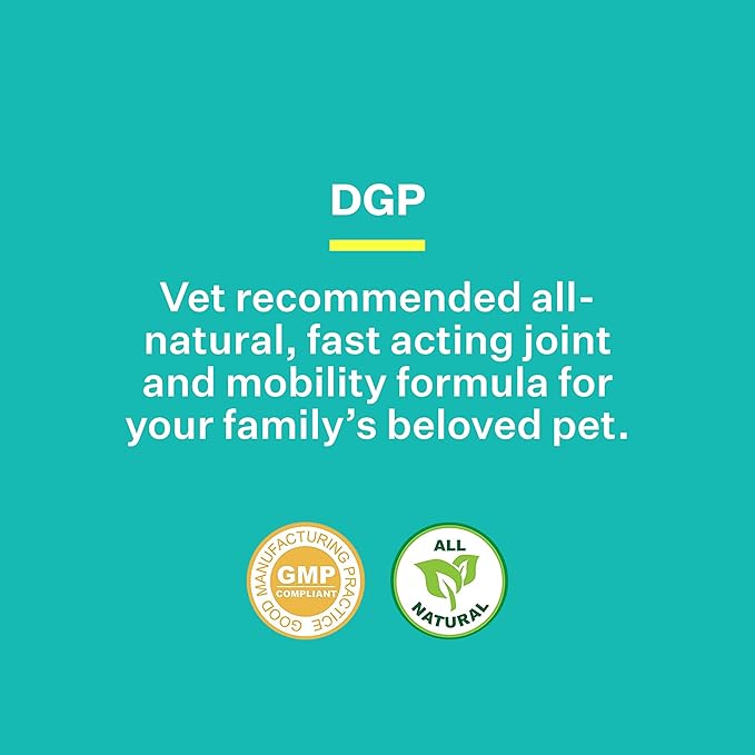 American BioSciences DGP, All-Natural Joint Supplement for Dogs - Joint Support with Turmeric, Boswellia Extract & More - Quick Effect for Pet Mobility Support - 120 Chewable Tablets (Pack of 2)
