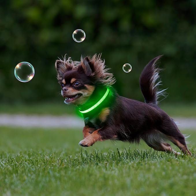 Flashseen LED Dog Collar, Light Up Dog Collar USB Rechargeable, Brightest Dog Lights for Night Walking, Adjustable Dog Collar Light for Dog Safety (Green, X-Small)