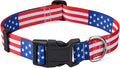 American Flag Dog Collar - Patriotic, US Flag Pattern, Star & Stripes, Fourth of July Dog Collar, Adjustable for Small Medium Large Dogs(Classic US,M)