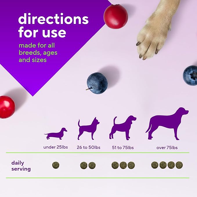 VitaFusion Dog Hip and Joint Supplement Glucosamine, Chondroitin, MSM, Omega-3 & Green-Lipped Mussel, Superfoods Blend. Flexibility and Cartilage Health. Wellness for Puppies to Senior Dogs,120 Chews.