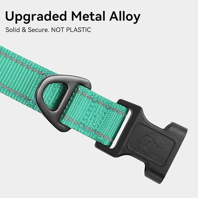 Joytale Reflective Dog Collar, Soft Neoprene Padded, Metal D-Ring, Nylon Pet Collar Adjustable for Extra Large Dogs, Teal, XL