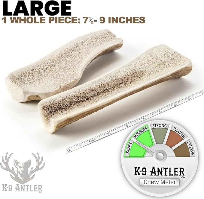 Elk Antlers for Dogs – Large Split (7.5-9 Inch), Irresistible Chew, USA Sourced, Naturally Shed & Ethically Harvested