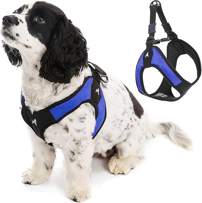 Gooby - Escape Free Easy Fit Harness, Small Dog Step-In Harness for Dogs that Like to Escape Their Harness, Blue, X-Small