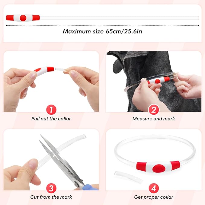 BSEEN Light Up Dog Collar - Type-C Rechargeable LED Dog Collar - 360° Glow in the Dark Pet Collar for Small Medium Large Dogs, TPU Cuttable Puppy Collar Safety Dog Lights for Night Walking (Red 70cm)
