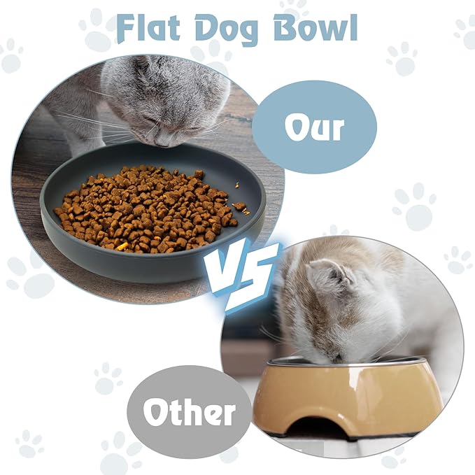 BNOSDM Silicone Cat Bowl Non-Slip Cat Food Plate Flat Dog Bowls with Suction Cup Shallow Puppy Food and Water Dish for Small and Medium Pets (Steel Gray)