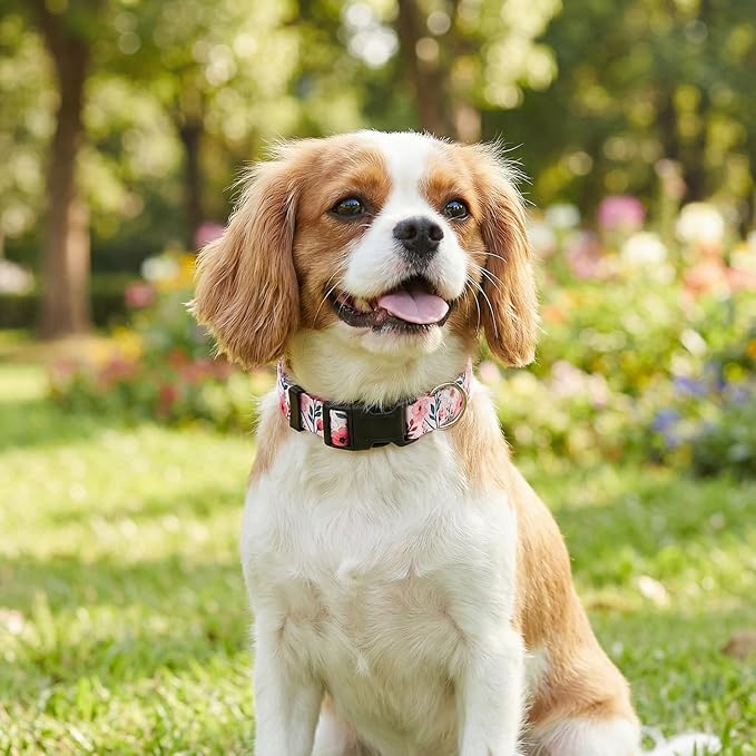 Floral Dog Collar, Adjustable Soft Nylon Pet Collar for Small Medium Large Dogs, Cute Flower Pattern Dog Collar for Girl Boy Dogs(Blush Vine,S)