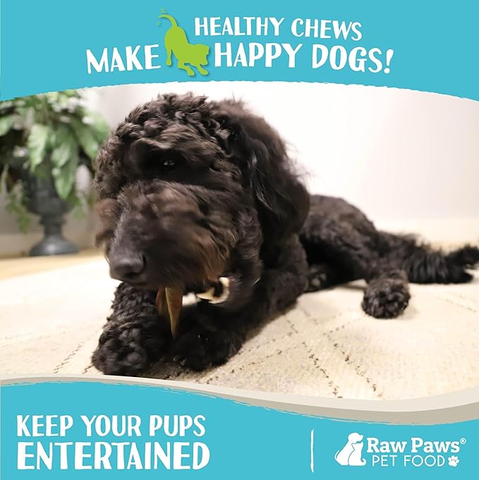Raw Paws Camel Skin Chews for Dogs (15-Count) - Rawhide Free Dog Chew Long Lasting - Support Dog Anxiety Relief - Bully Stick Alternative