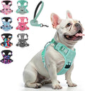 BEAUTYZOO No Pull Dog Harness, Adjustable Dog Harness and Leash Set -Easy Wearing with 3 Buckles/Control Handle,No Choke Soft Padded Reflective Pet Vest for Training Walking Hiking,Solid Aqua Blue S
