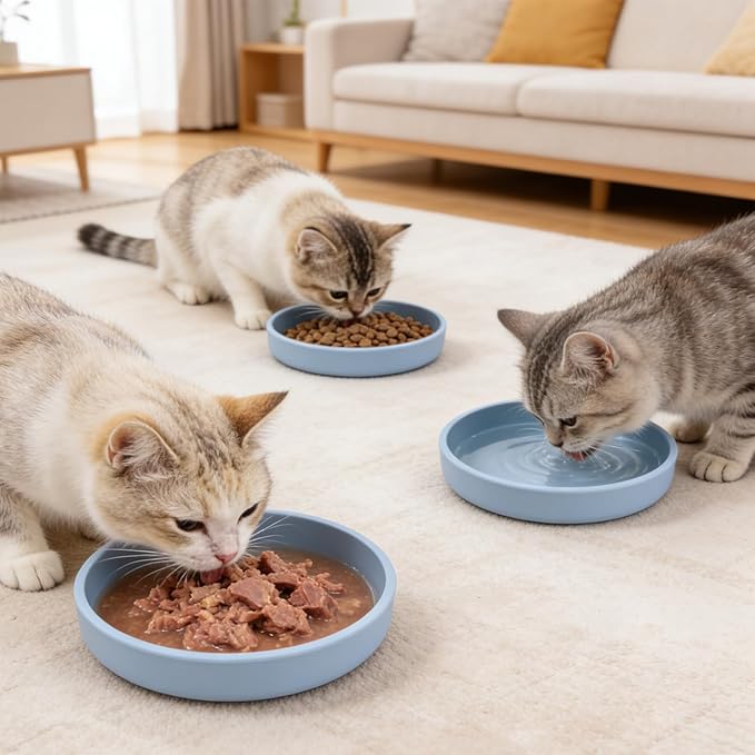 Silicone Dog Bowl Shallow Cat Food Bowls, 6 Inch Wide Cat Bowls Whisker Friendly, No Spill Less Mess Dog Plates for Dry and Wet Food, Set of 2 Puppy Bowls for Small Dogs and Cats