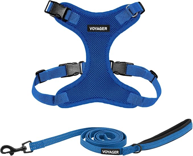 Best Pet Supplies Voyager Step-in Lock Pet Harness w Reflective Pet Leash Combo Set with Neoprene Handle 5ft - Supports Small, Medium and Large Breed Puppies/Cats - Royal Blue, S