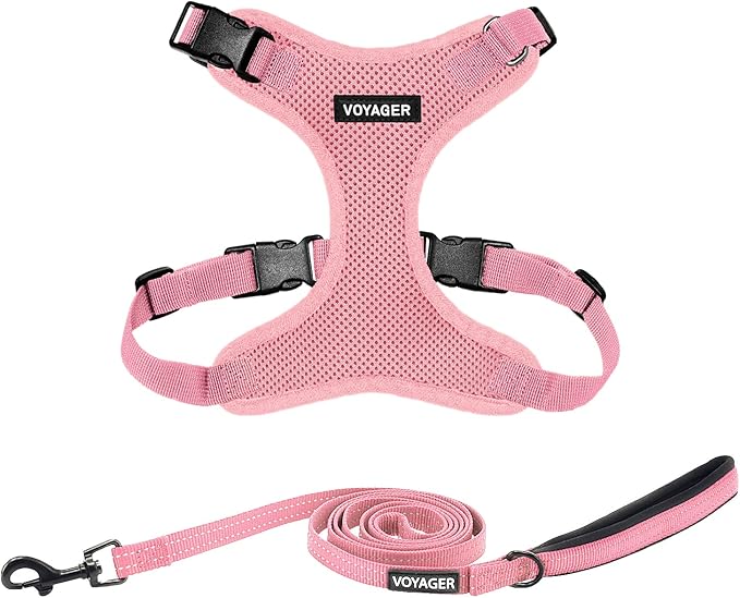 Best Pet Supplies Voyager Step-in Lock Pet Harness w Reflective Pet Leash Combo Set with Neoprene Handle 5ft - Supports Small, Medium and Large Breed Puppies/Cats - Pink, S