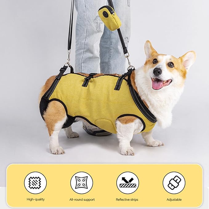 Full Body Dog Lift Harness with Ergonomic Designs for Elderly Dog with Shock Absorption and Adjustable Strap