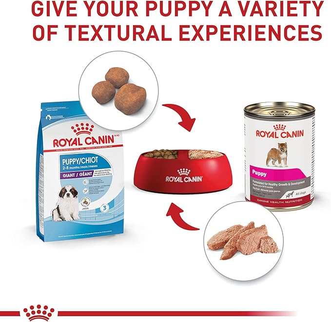 Royal Canin Size Health Nutrition Giant Puppy Dry Dog Food, 30 lb Bag