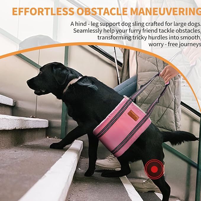 Dog Lift Harness for Large Dogs, Adjustable Comfortable Dog Sling with Handle, Knee & Rear Leg Support for Torn ACL Rehabilitation, Weak Rear Legs, Helps Senior, Disabled Canines(Pink,M)