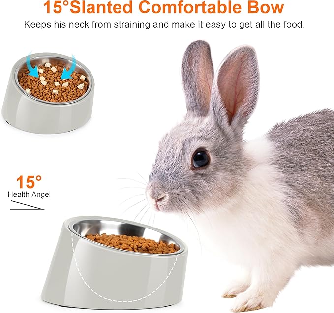 Tilted Dog Bowl Non-Slip & Non-Spill Pet Feeder with Elevated Detachable Melamine Stand, Easy to Get Food Dog Dish, S/100ml Gray
