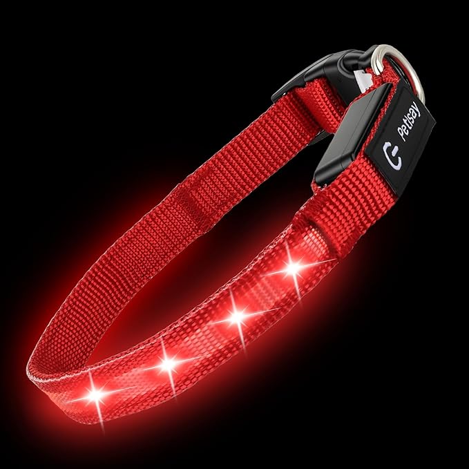 LED Dog Collar for XSmall Dogs & Toy Breeds – USB-C Rechargeable Light Up Dog Collar, Fully Waterproof Adjustable Glow Collar for Night Walking & Safety(Red,XS)