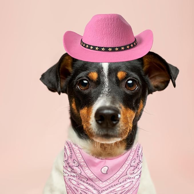 Dog and Cat Cowboy Hat With Bandana Scarf - Mini Pet Costume for Holiday, Halloween, Party Decoration (Pink, Large)