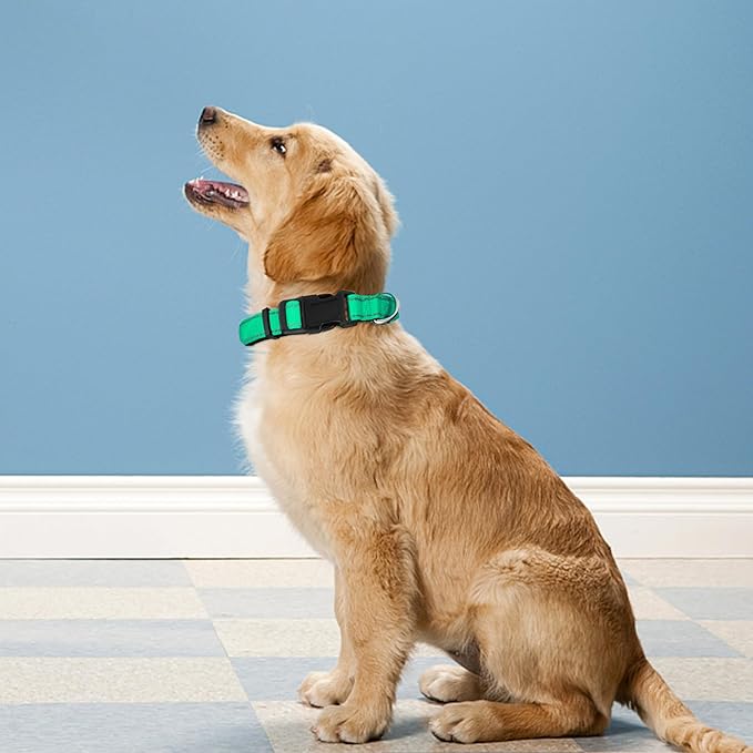 Reflective Dog Collar, Adjustable Soft Neoprene Padded Nylon Pet Collars with Buckle for Small Dogs, Grass Green,S