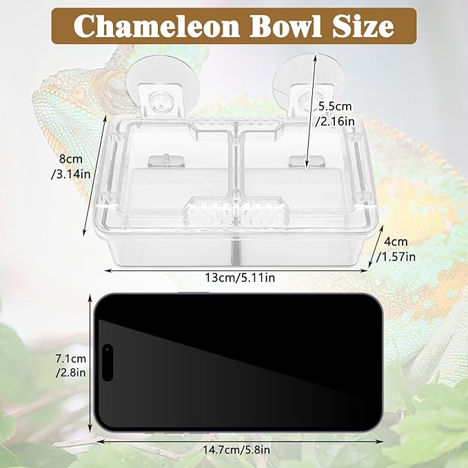 Hamiledyi Transparent Reptile Feeder with Suction Cup Separated Double Compartments Chameleon Bowl Gecko Live Worm Feeder Anti-Escape Reptile Supplies for Lizard Bearded Dragon (White, 2 Pcs)