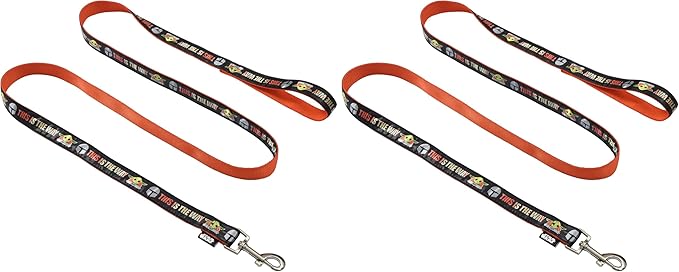 Star Wars The Mandalorian This is The Way Dog Leash - Cute Dog Lead Easily Attaches to Any Collar or Harness - Officially Licensed Pet Walking Leash, 4 Foot (48 Inch) (Pack of 2)