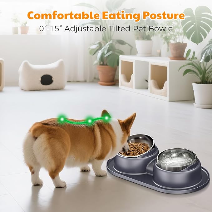 Elevated Cat Bowls Set of 2 Stainless Steel Bowl, Small Dog Food and Water Feeder with Non Spill Skid Resistant Mat,Tilted Dog Food Bowls Elevated Anti Vomiting, Ant Proof Cat Food Bowls