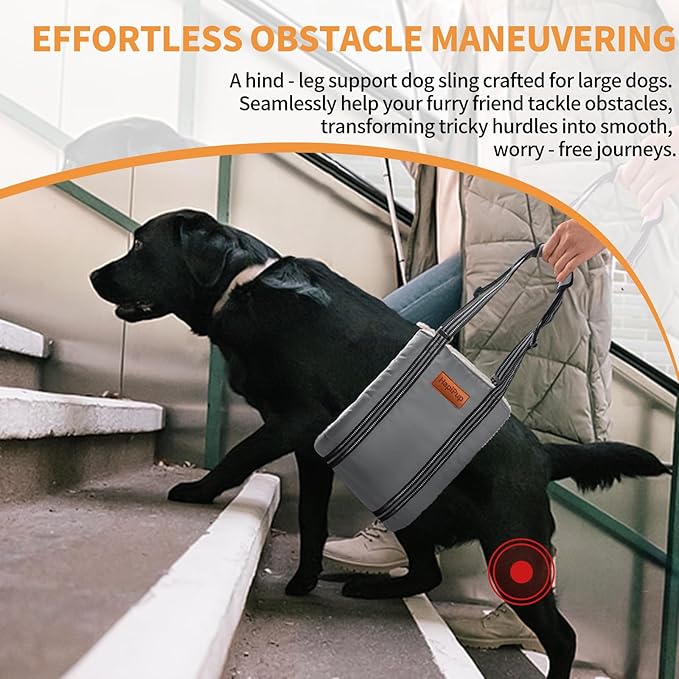 Dog Lift Harness for Large Dogs, Adjustable Comfortable Dog Sling with Handle, Knee & Rear Leg Support for Torn ACL Rehabilitation, Weak Rear Legs, Helps Senior, Disabled Canines(Grey,XL)