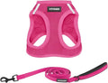 Best Pet Supplies Voyager Step-in Air All Weather Mesh Harness and Reflective Dog 5ft Leash Combo with Neoprene Handle, for Small, Medium and Large Breed Puppies - Set (Fuchsia), X-Small