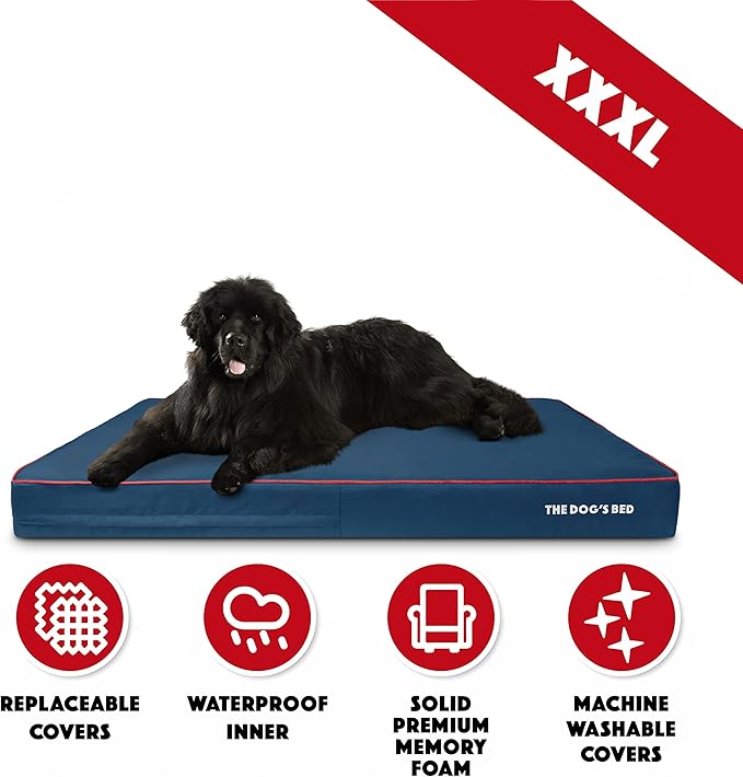 The Dog’s Bed Orthopedic Memory Foam Dog Bed for XXXL Dogs, Waterproof Washable Cover, Anti-Slip Base, Calming Surface – CertiPUR-Certified Foam, Blue with Red Trim, 6 Inch Thick