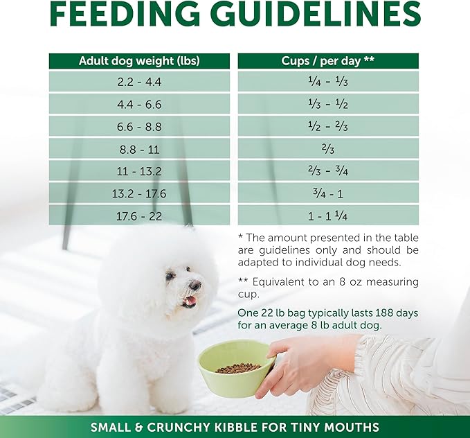 Nature's Protection Dry Dog Food for Small Breed - High Protein Tear Stain Diet for White & Light Fur Adult Dogs - Small Bites Kibble (Superior Care - Lamb and Rice, 22 lb)