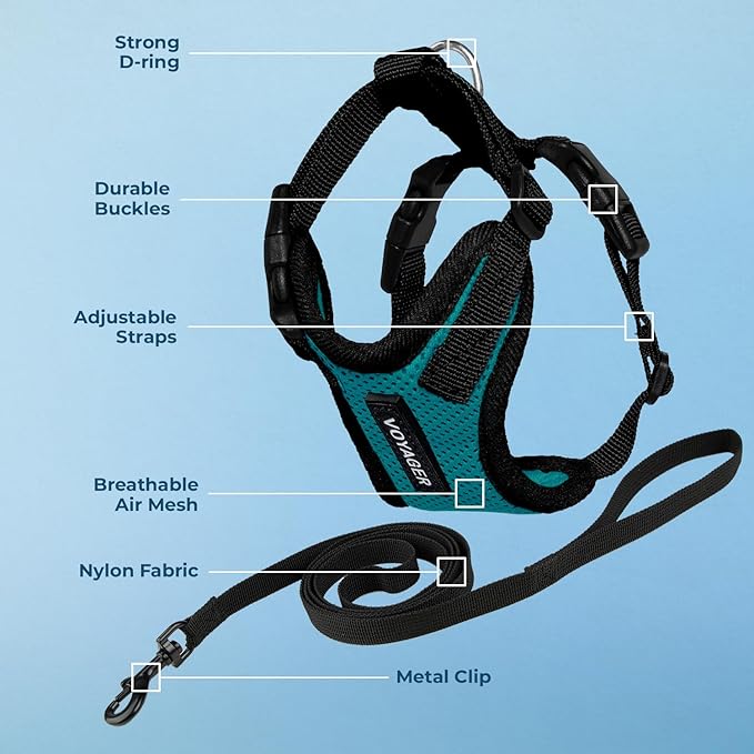 Voyager Escape-Proof Step-In Lock Cat Harness & 5ft Neoprene-Handle Leash Set All-Weather Mesh with Reflective Stitching For Small to Large Cats by Best Pet Supplies, Turquoise/Black Trim, S