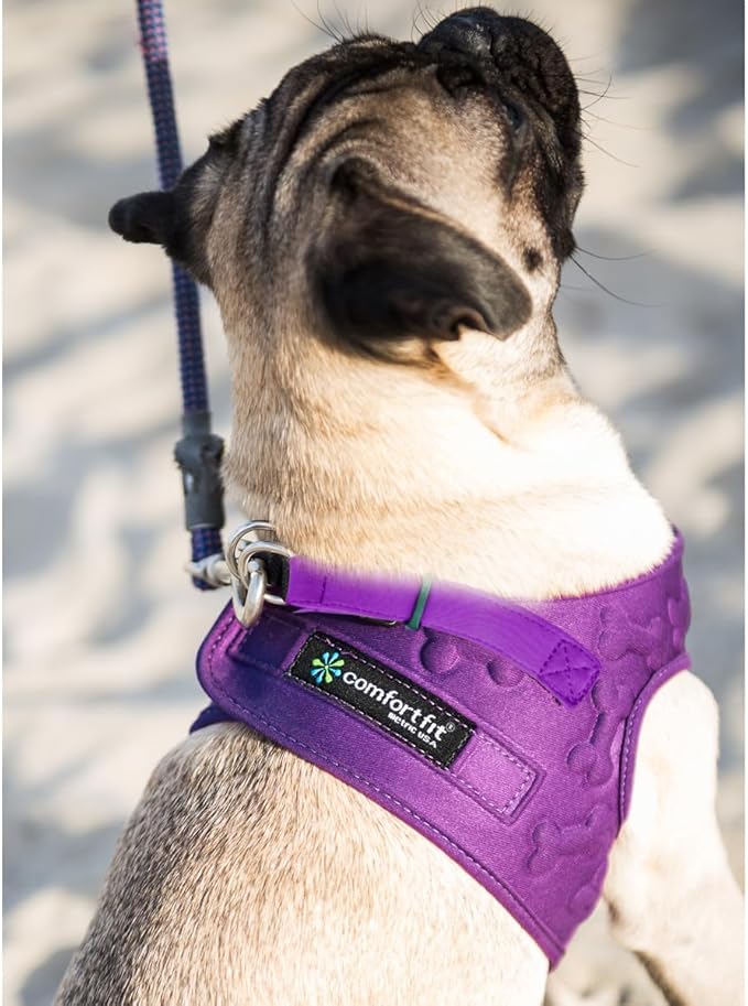 Comfort Fit All Weather Dog Harness No Pull Soft Padded Extra Comfort Step in Dog Harness with Adjustable Buckles Easy Control Vest Harness for Small Medium Large Dogs Inside Velvet Plush