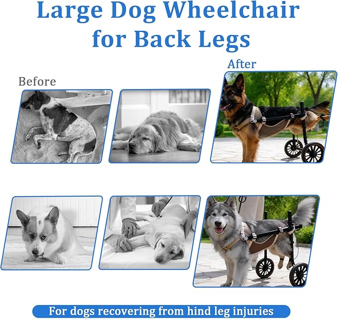 Dog Wheelchair for Back Legs, Lightweight Aluminum Alloy Large Dog Wheelchair with All-Terrain Tires, Adjustable Mobility Support Cart for Disabled Hind Legs Rehab