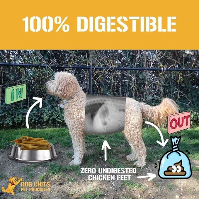 Dog Chits Chicken Feet for Dogs - Dog and Puppy Chews | All-Natural Treats | Large and Small Breeds | Nothing Added | Dehydrated | 30 Pack