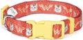 DC Comics League of Super-Pets PB Wonder Woman Dog Collar, Small | Officially Licensed DC League of Super-Pets PB Dog Collar | Small Dog Collar DC Wonder Woman Style with D-Ring for Leash