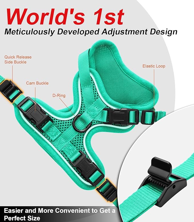 Cat Harness and Leash for Walking Escape Proof Soft Adjustable Cat Leash Breathable Comfortable Vest Easy to Wear Kitten Harness for Outdoor Travel (Emerald, M (13-18lb))