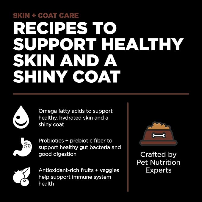 Go! Solutions Skin + Coat Care Salmon Large Breed Dry Puppy Food with Grains, Chicken-Free, Healthy Kibble for Growing Dogs, Omega-3s & 6s for Soft, Shiny Fur, 25 lb Bag