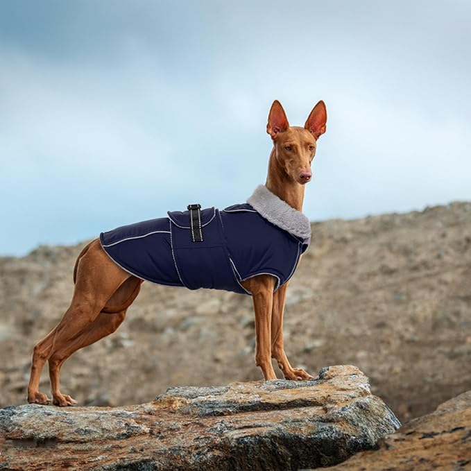 Lelepet Warm Dog Coat Waterproof Dog Jacket for Small Dogs Reflective Fleece Vest with Adjustable Buckle Hook & Loop Windproof Cold Weather Coats for Small Medium Large Dogs, Navy Blue, S
