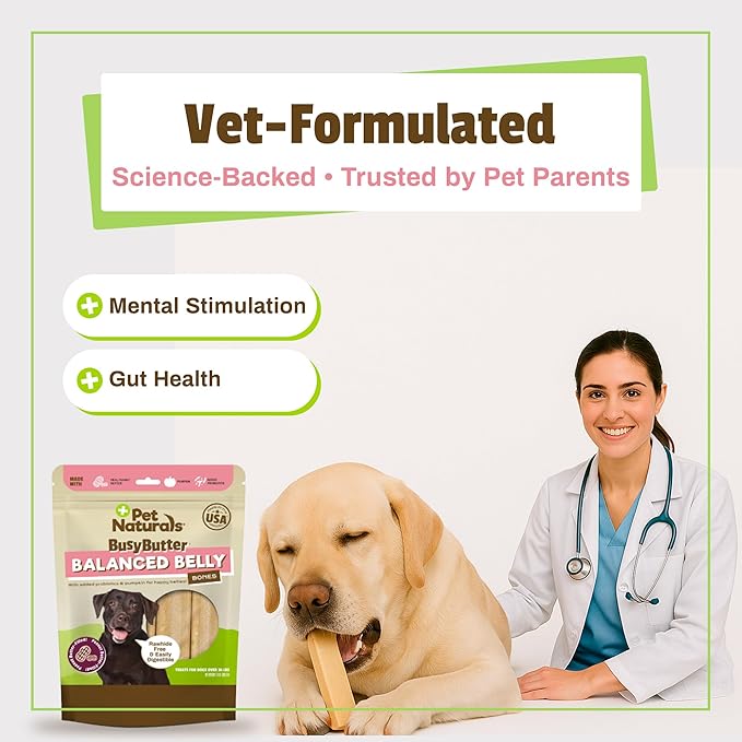 Pet Naturals BusyButter Balanced Belly Bones Medium/Large Dogs – 4 Count, Rawhide-Free Long Lasting Chews with Probiotics, Prebiotics & Pumpkin for Dog Digestive & Gut Health Support, Peanut Butter